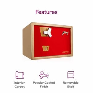 Electronic Security Safes